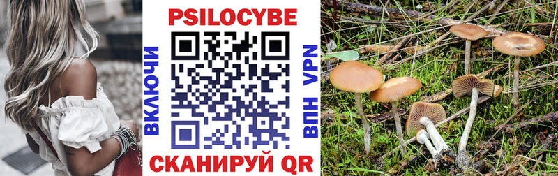 Галлюциногенные грибы прущие грибы  Суоярви 